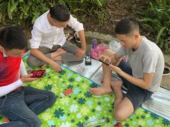 -铁山坪森林公园