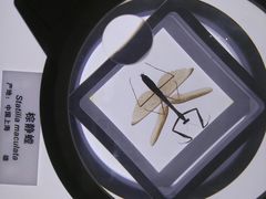-上海昆虫博物馆