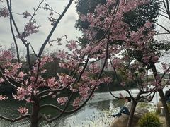 -新江湾城公园