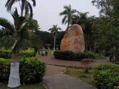 -万绿园