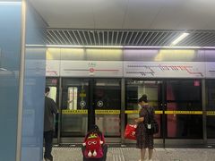 -大龙山(地铁站)