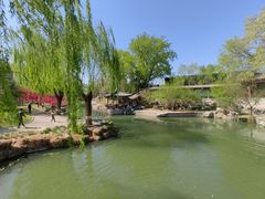 -万柳阁小馆·花园餐厅(龙潭湖店)