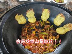 -桃源山庄·水蜜桃采摘·柴火鸡·烧烤团建(龙泉山店)