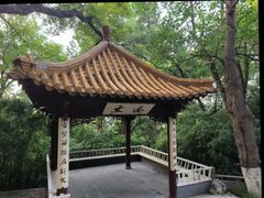 -北极阁公园