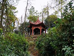 -洪都公园
