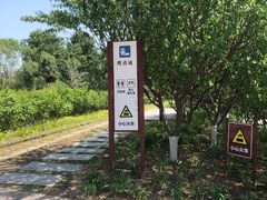 -永定河休闲森林公园