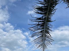 -三亚西岛海洋文化旅游区