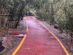 -西安汉城湖景区