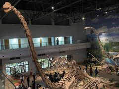 -自贡恐龙博物馆