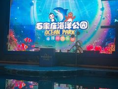 -石家庄海洋公园