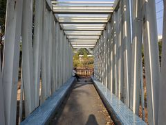 -金鸡岭桥头公园
