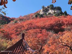 -石门坊