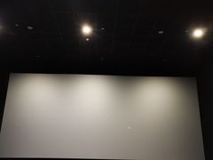 -中影嘉华国际影城(大芬星都里店)