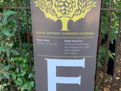 -墨尔本皇家植物园