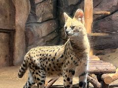 -波塞冬旅游度假区