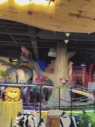 -卡通尼·Safari非洲探索乐园·生日会(金桥国际商业广场店)