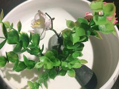 -老牌坊鲁菜名店(美莲广场店)