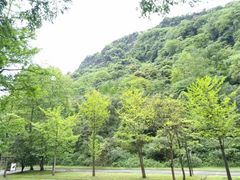 -青城山