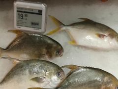 -盒马鲜生(莱蒙都会店)
