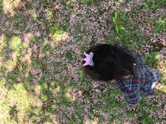 -白塘生态植物园