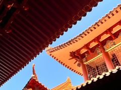 -深圳仙湖植物园