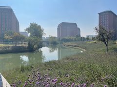 -浙江大学(紫金港校区)