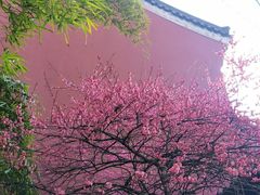 -钱王祠