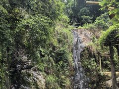 -大雁山风景区