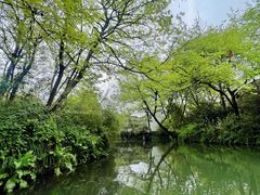 -西溪国家湿地公园