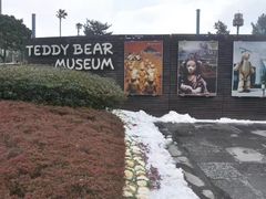 -济州岛泰迪熊博物馆