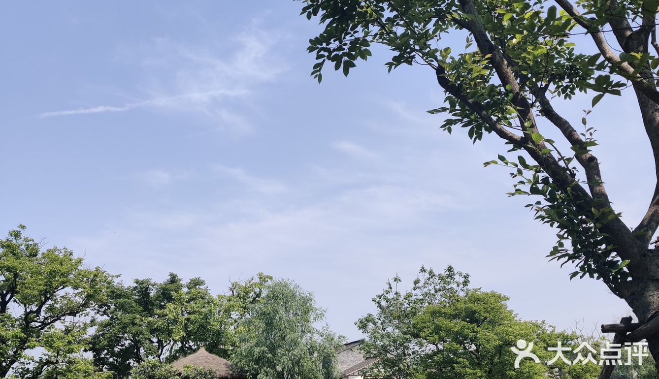 里头其实很大，走的话其实要花很多时间走也不一定能走完