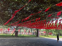 -牛鱼嘴原始生态风景区
