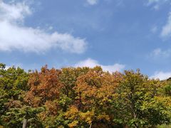 -天津盘山风景名胜区
