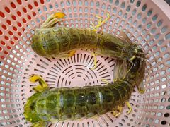 -醉壹号海鲜大排档·老厦门特色菜(厦门美食地标店)