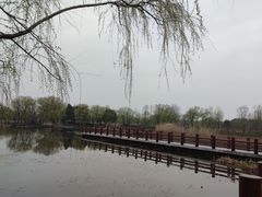 -长兴太湖图影湿地文化园