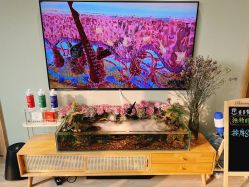 -Lumi露米·美甲美睫品质店