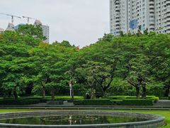 -缘生态云南菜·野生菌庭院餐厅(华侨城店)