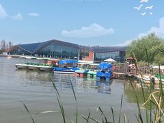 -上海长兴岛郊野公园