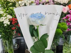 -FEI FEI FLOWER鲜花店·气球派对·宝宝宴布置(虹口德必运动Loft店)