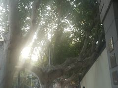 -长江路历史文化街区