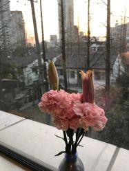 -知爱母婴专护全套房月子会所(新华路店)