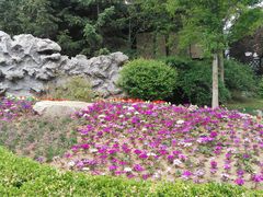 -金石唐风国际温泉会馆