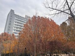 -北京化工大学(东校区)