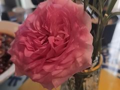 -紫腾大院·南京菜(江宁店)