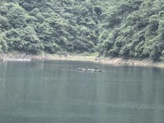 -黄牛肉馆·皖南土菜