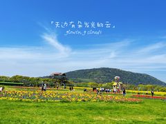 -苏州太湖西山岛开心农场