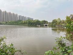 -成都南湖公园