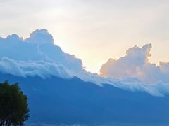 -洱海月湿地公园