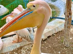 -水上乐园·欢乐世界