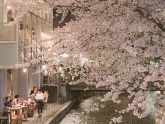 -四川大学(望江校区)